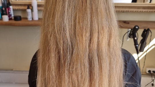 342214370_783097533246562_5518085902300248810_n