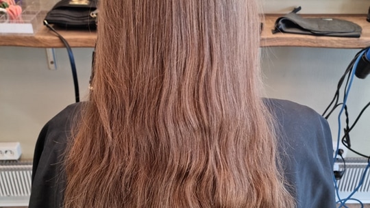 342369026_221430287154854_3282733780001412741_n